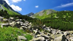 ŠVP Slovensko Habovka