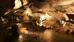 slovensko-rohace-01