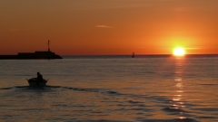 Večerní Novigrad