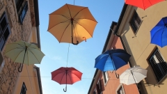 Večerní Novigrad