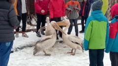 slovensko-rohace-04
