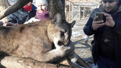 slovensko-rohace-05